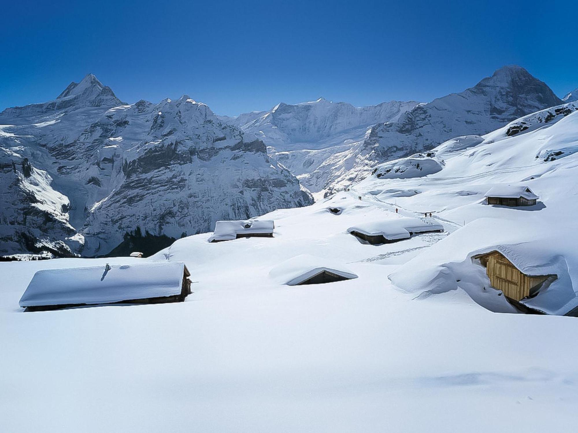 Bienli-2 By Interhome Apartment Grindelwald