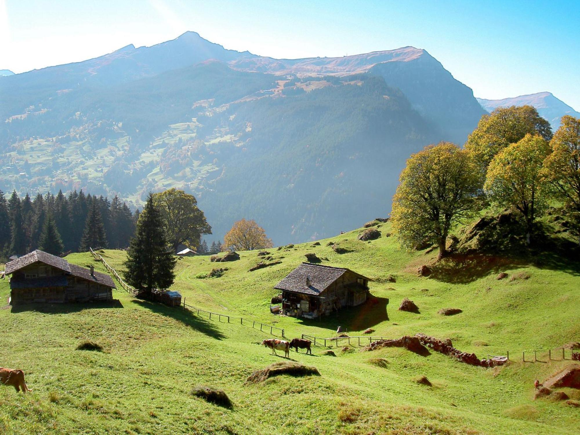 Bienli-2 By Interhome अपार्टमेंट Grindelwald