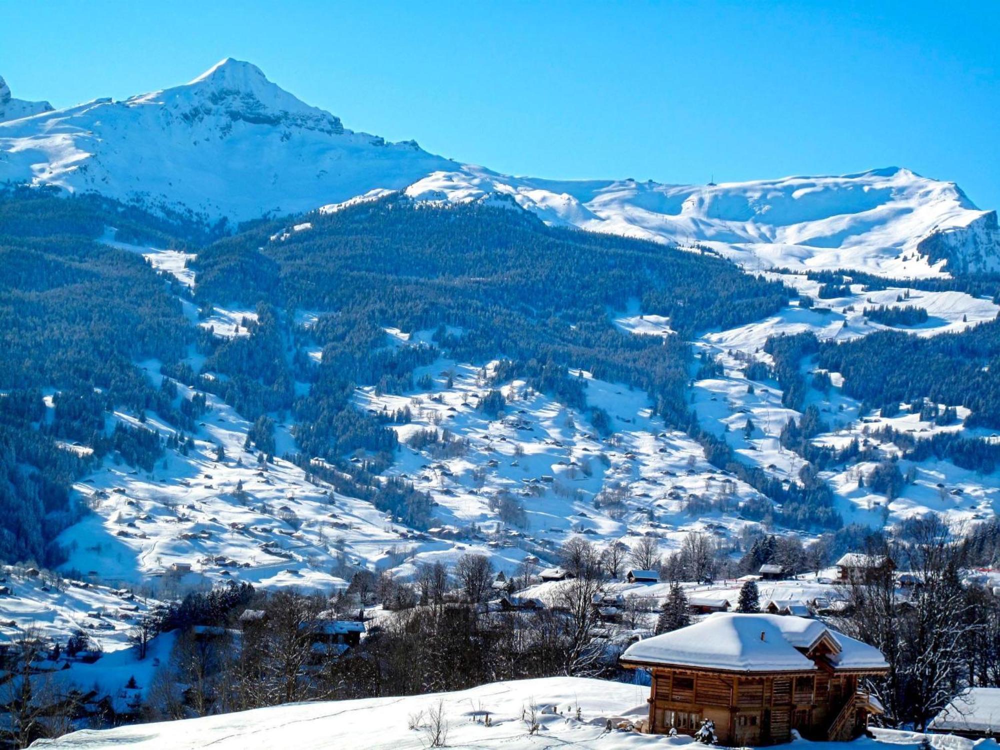 Bienli-2 By Interhome अपार्टमेंट Grindelwald