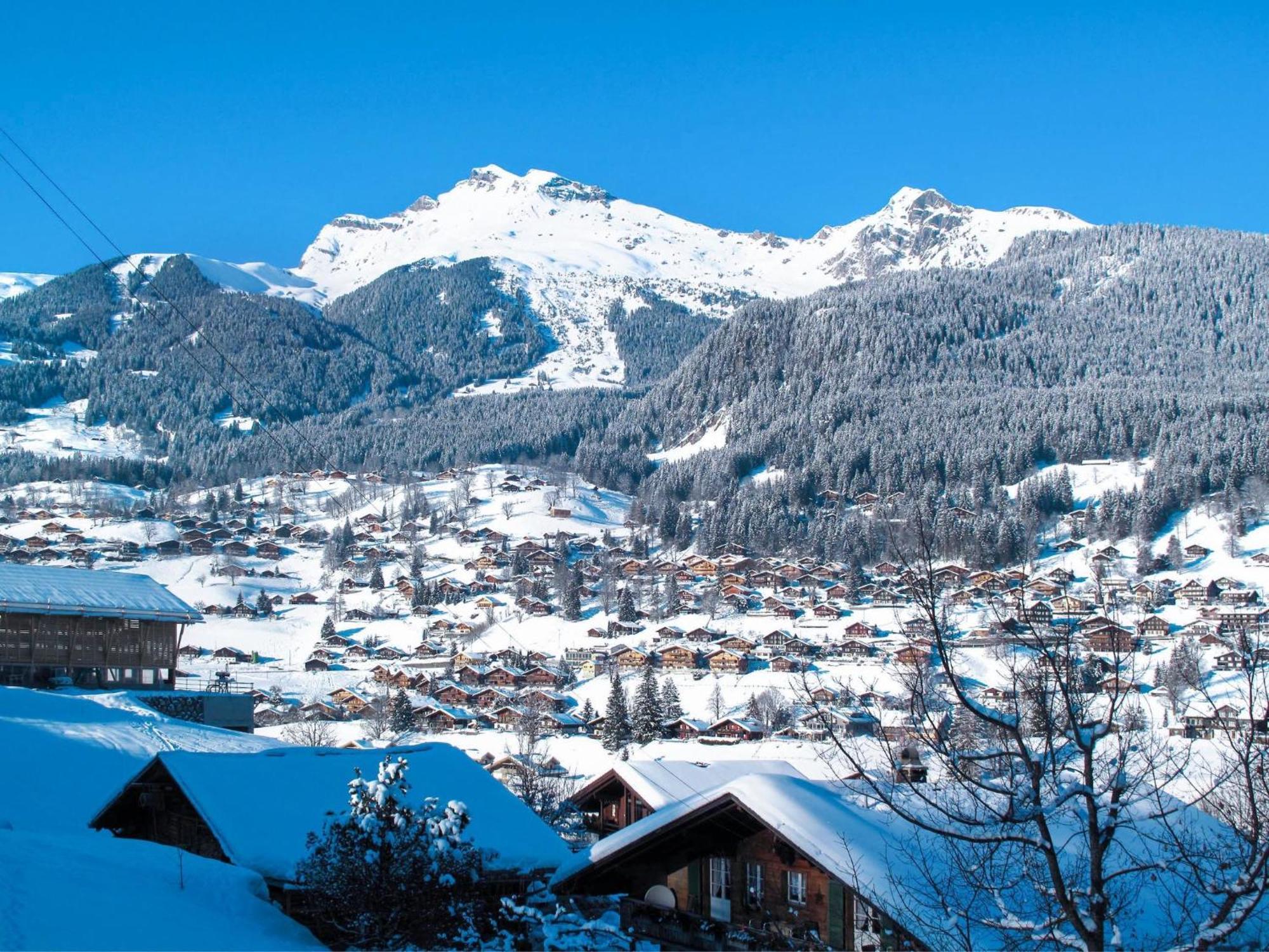 Bienli-2 By Interhome Grindelwald