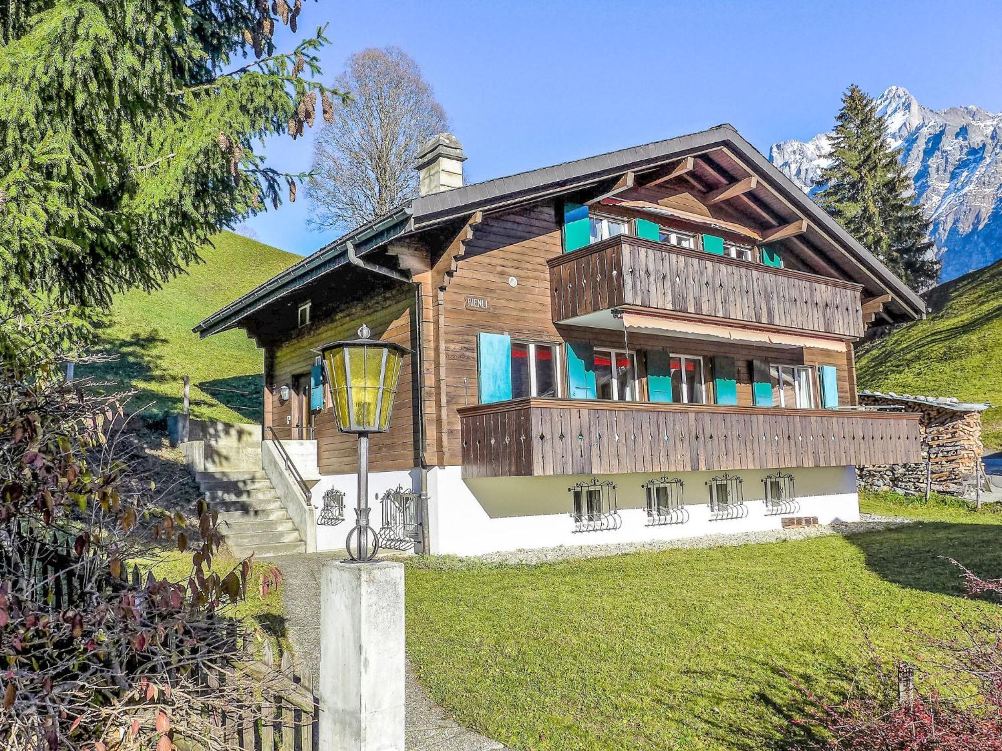 अपार्टमेंट Bienli-2 By Interhome Grindelwald